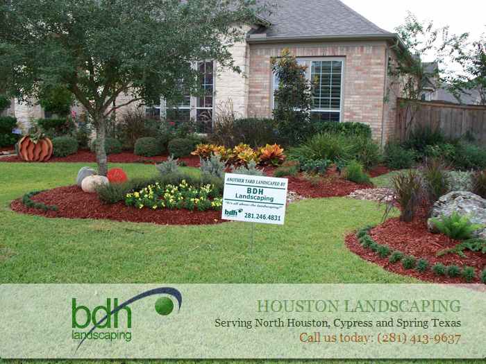 Landscaping Services Houston Texas