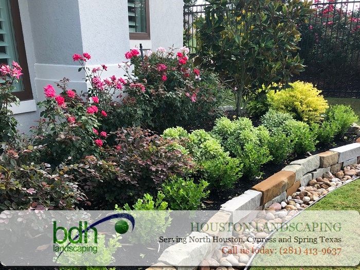 Landscaping Services Houston Texas - Front Yard Landscaping