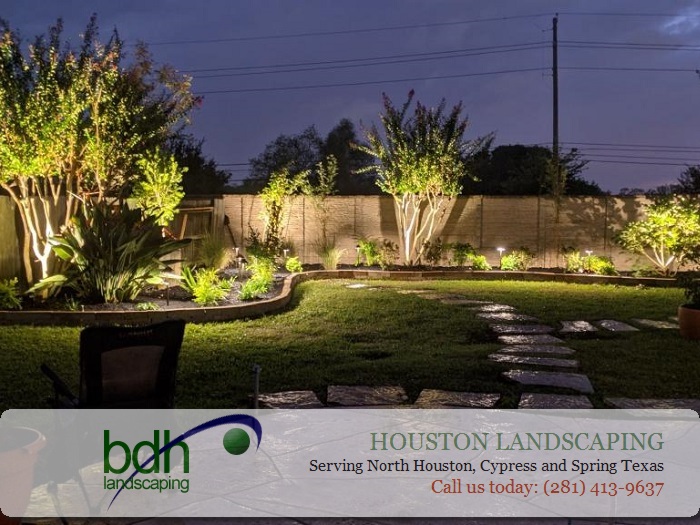 Backyard Landscape Houston