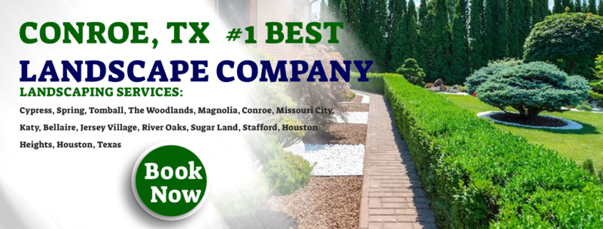 Best-Landscaping-Companies-in-Conroe,-TX