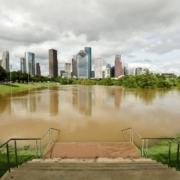 Hurricane-Beryl-Landscapers-Near-Me-Houston