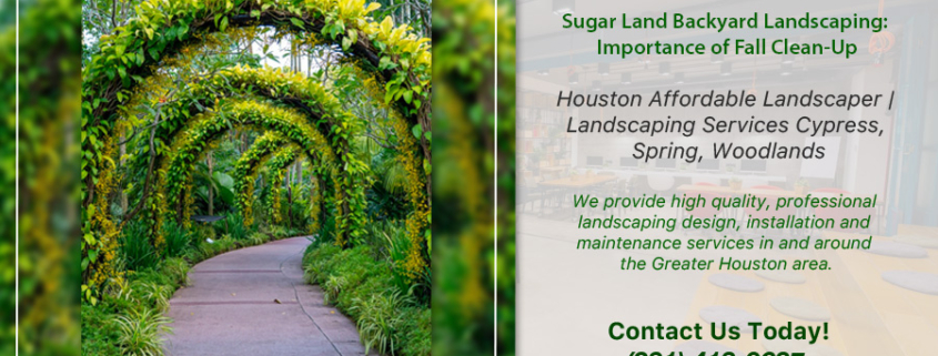 bdh-Landscaping-Sugar Land Backyard Landscaping