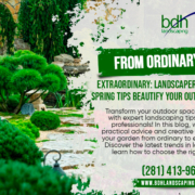 From-Ordinary-to-Extraordinary-Landscapers-Near-Me-Spring-Tips-Beautify-Your-Outdoor-Space