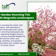 Magnolia Landscapers