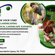 Transform Your Yard with BDH Landscaping – Nearby Local Landscape Experts