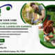 Transform Your Yard with BDH Landscaping – Nearby Local Landscape Experts